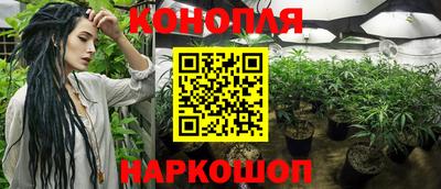 MESCALINE Гатчина
