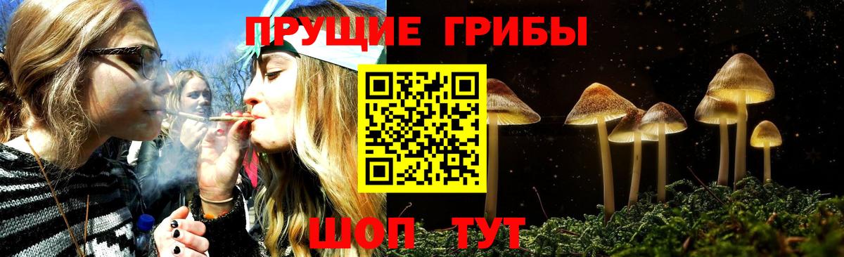Псилоцибиновые грибы мухоморы Урюпинск