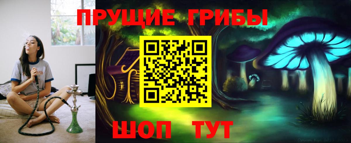 Галлюциногенные грибы Cubensis  Галлюциногенные грибы MAGIC MUSHROOMS  Вход с VPN  хочу наркоту  Урюпинск 